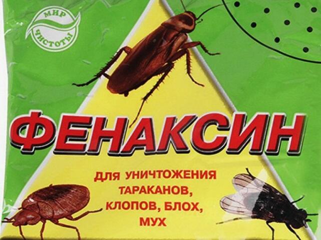 Басня про клопов и блох