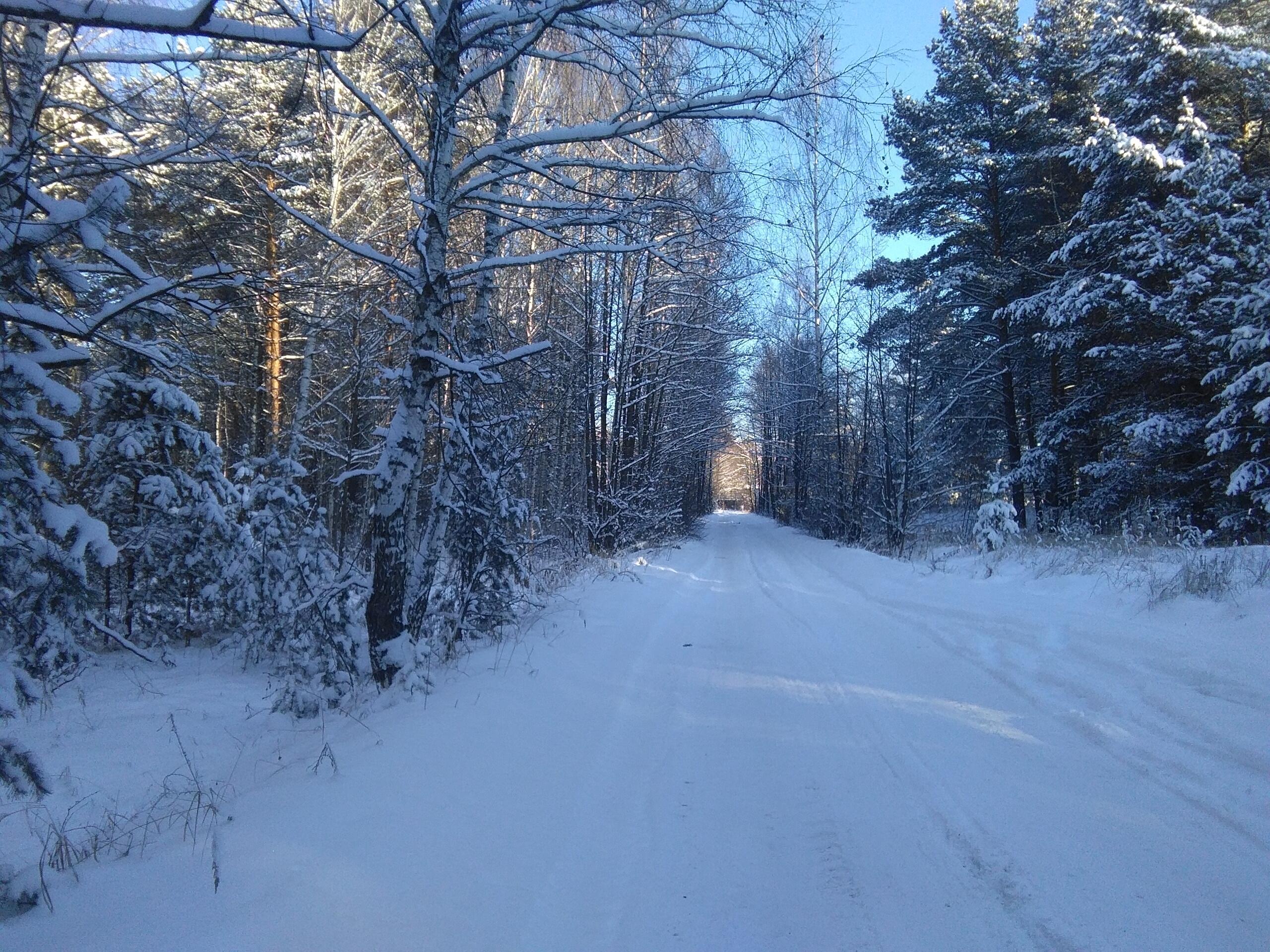 Мороз и солнце - воскресный день!