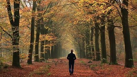 В осенней аллее...