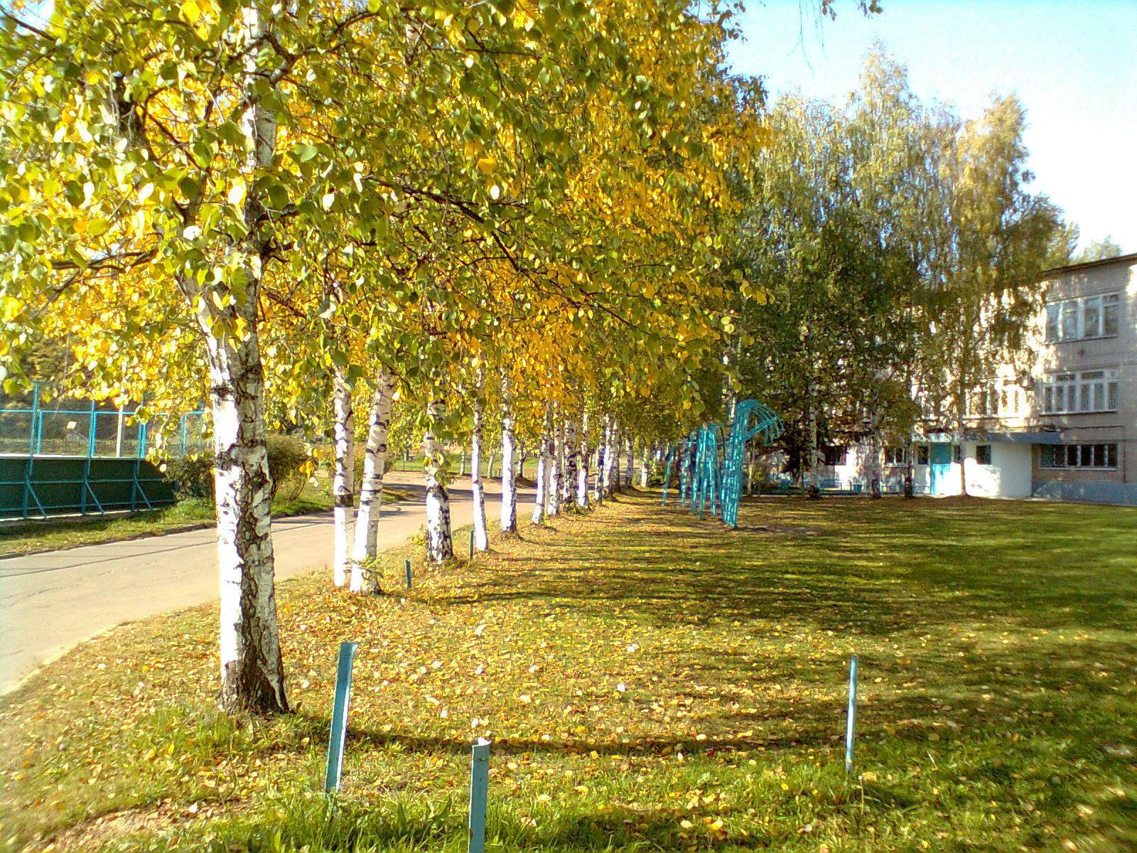 Вот солнечный день октября...