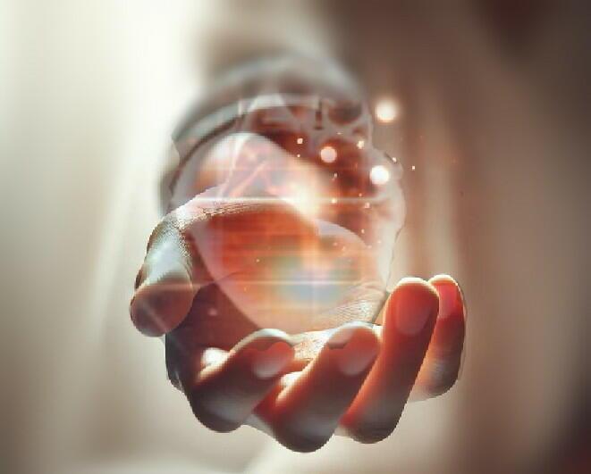 Сквозь время