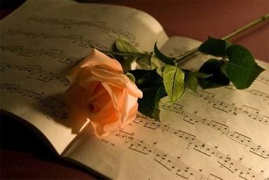 Рождаются стихи