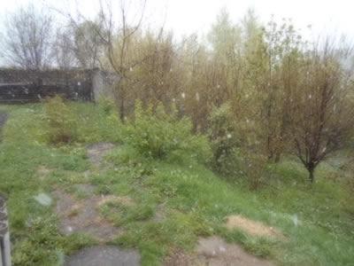 и летний зной,..