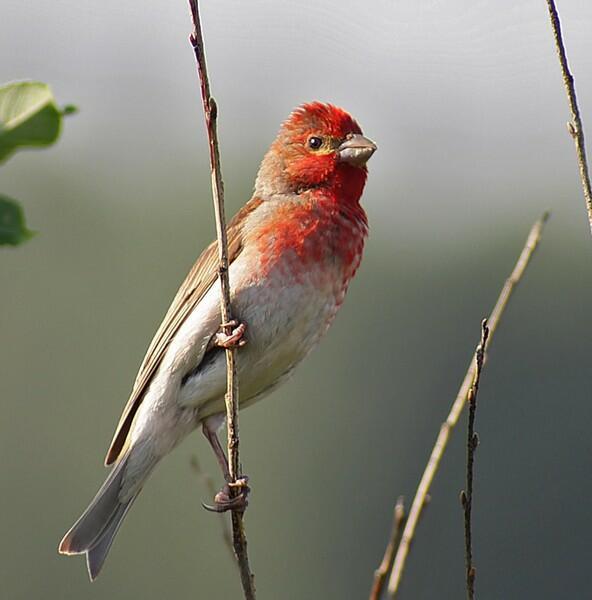 Витю видел?