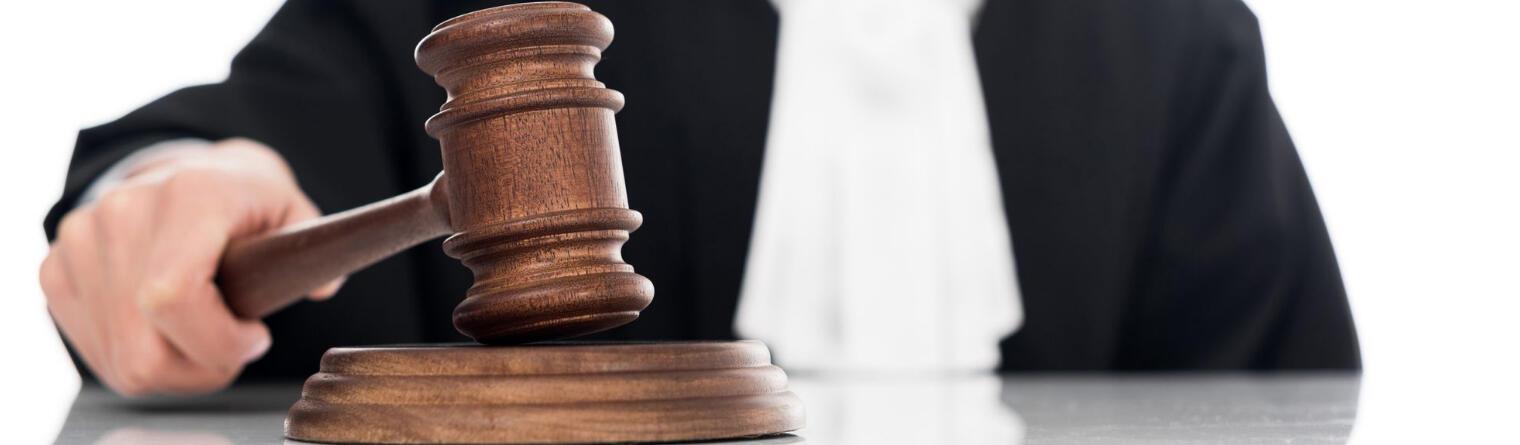 Ответ поэту - Медведь Белый - КОГДА НИБУДЬ