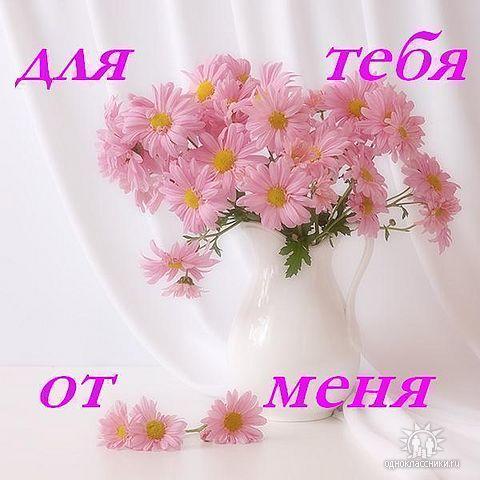 На краю пути