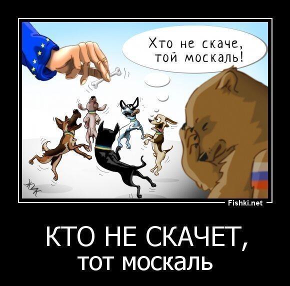 Москаль поганый ( бывшие "наши " )