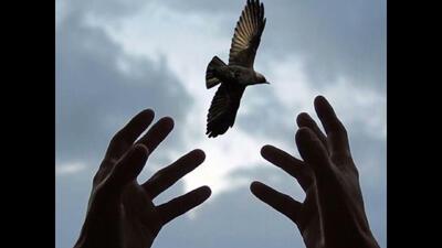 О ЖАЛОСТИ И ГРУСТИ