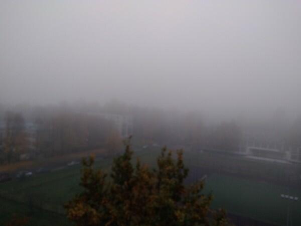 МУЗЫКА ДОЖДЕЙ