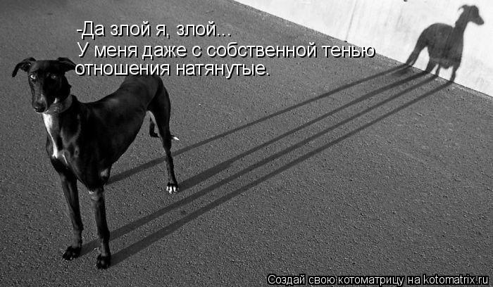 В далёкой стране...