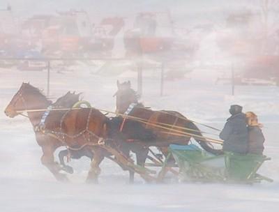 Три сестры и брат
