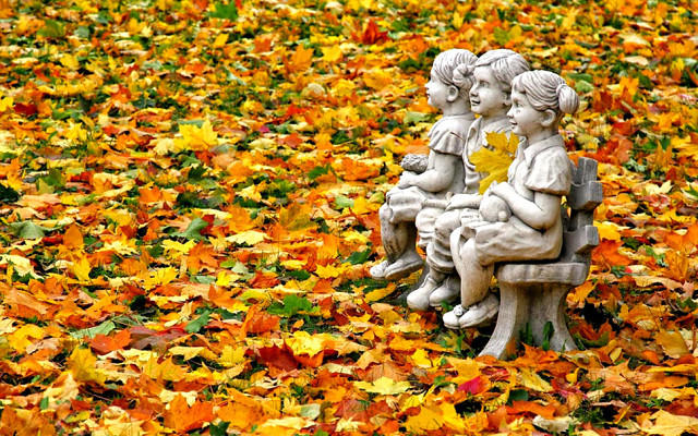 В осеннем саду.../текст песни/