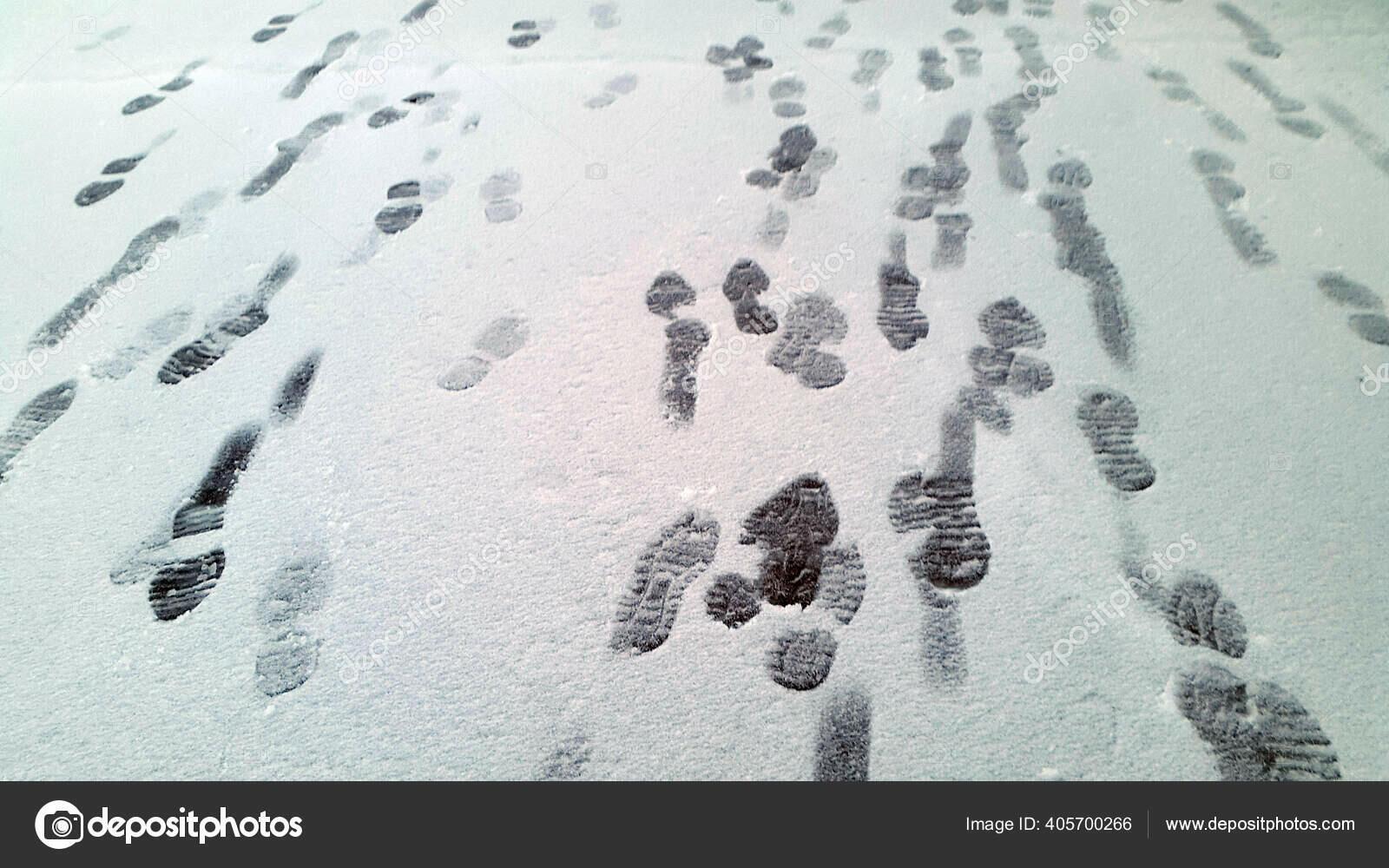 Длинные, длинные сумерки. ИГОРЬ / MASTER SHO/