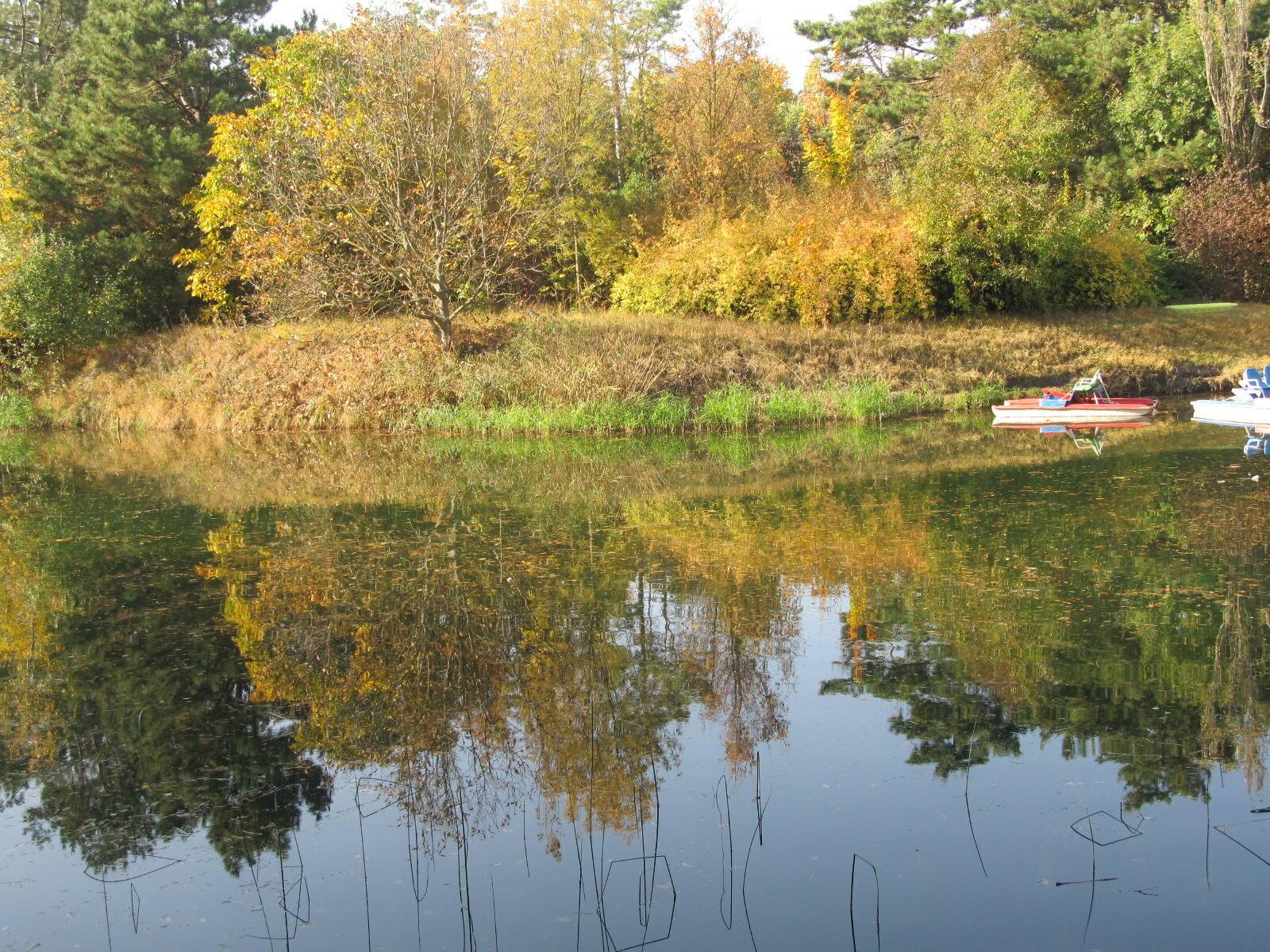 Грустная осенняя песня  исп. В. Полуничев