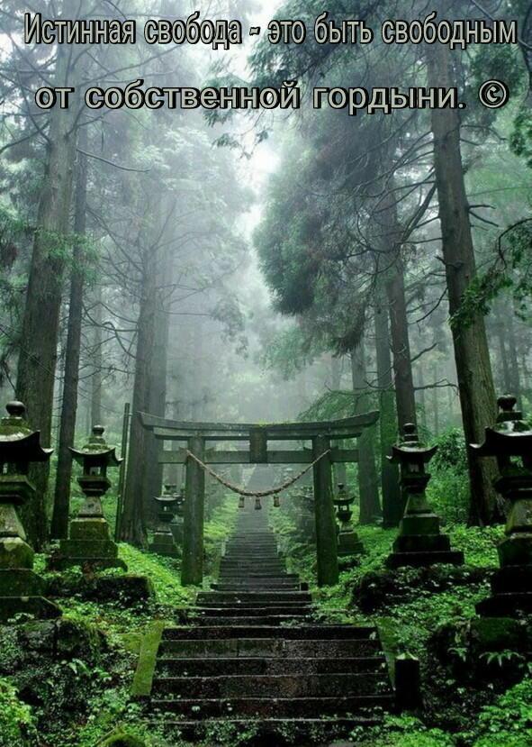 Про мудрость / порошки