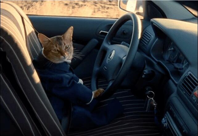  Милая, поехали кататься!..