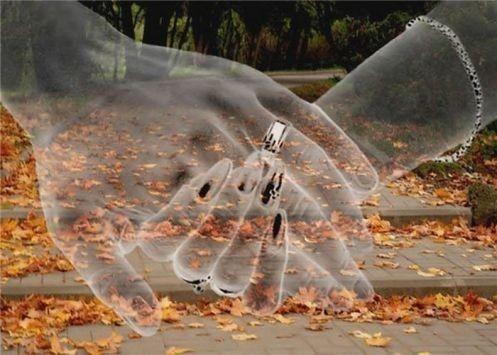 Тепло твоей руки