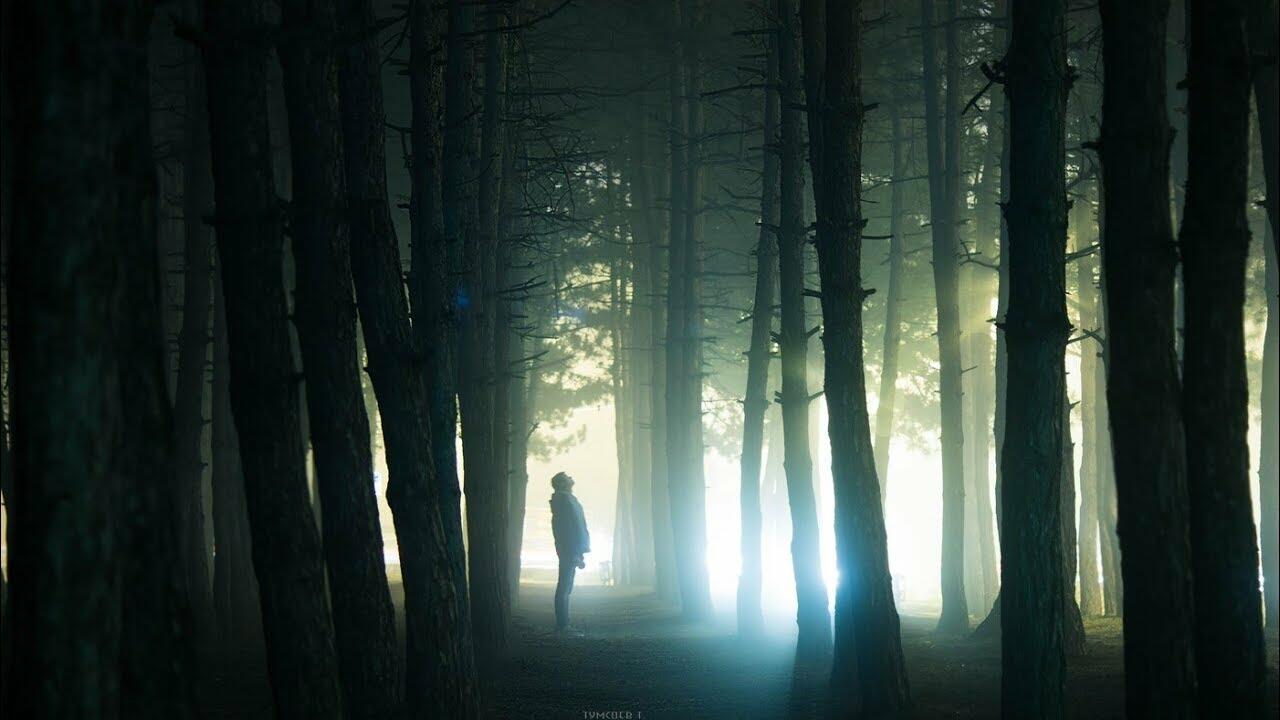 Я удалюсь от дней ненастных