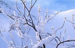 Снова падает снег