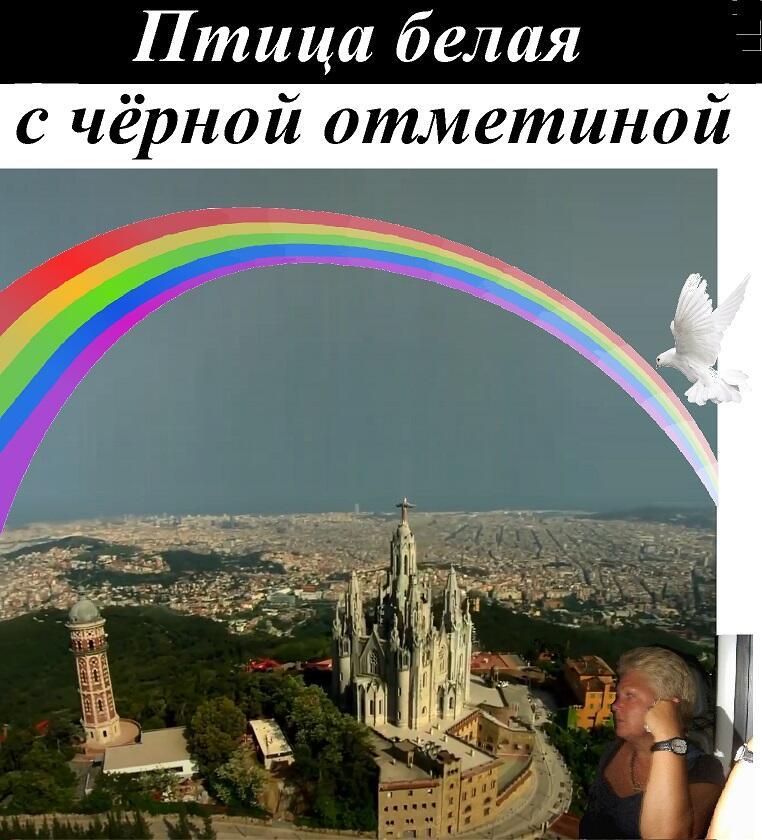 Птица белая с чёрной отметиной...