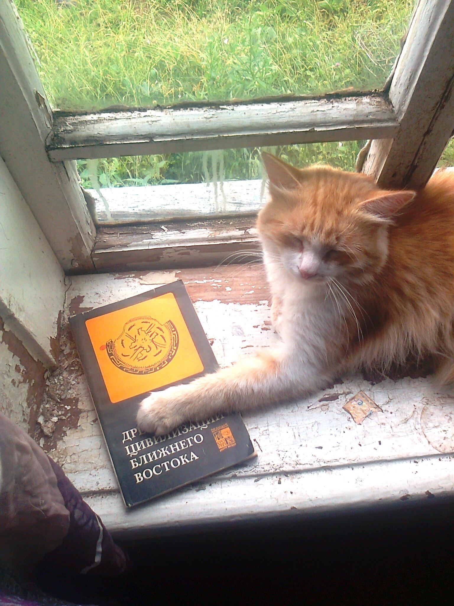 Что нарисовано на Луне?