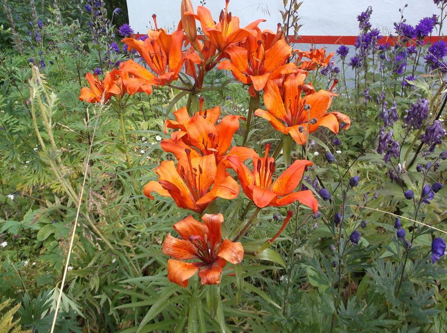 Всё погибнет