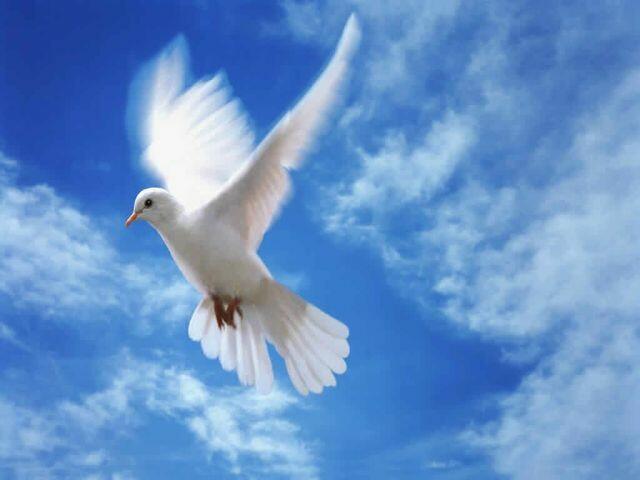 НЕ ПЛАЧЬ ДОЖДЯМИ РВАНЫМИ...