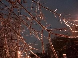 Не обманывай себя,  не надо.