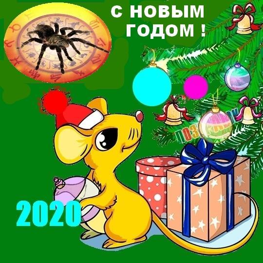 Пажаданні у Новым 2020 годзе.