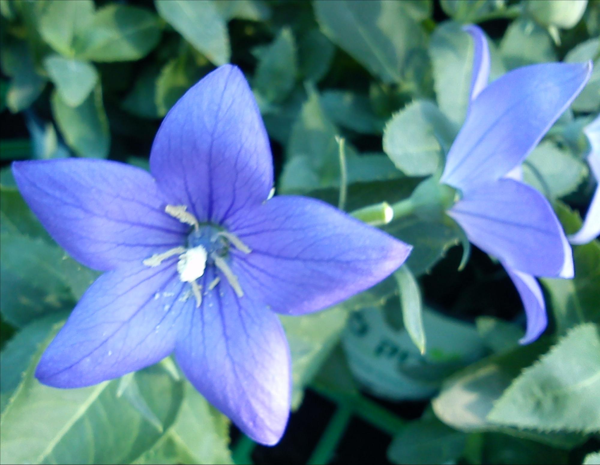 Притчи, глава 26 - перевод с иврита