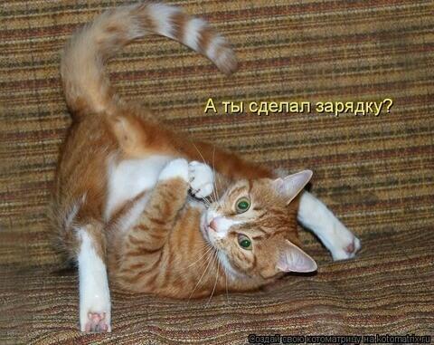 Утром дрыгаю ногами