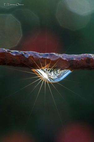 Все меньше остается ветеранов