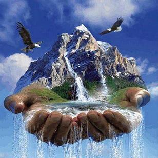 ГОДУ ЭКОЛОГИИ 2017 посвящается