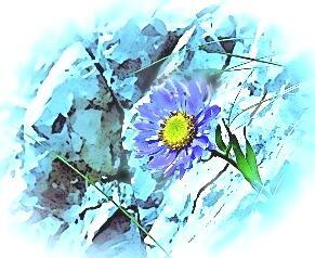 Лунная душа