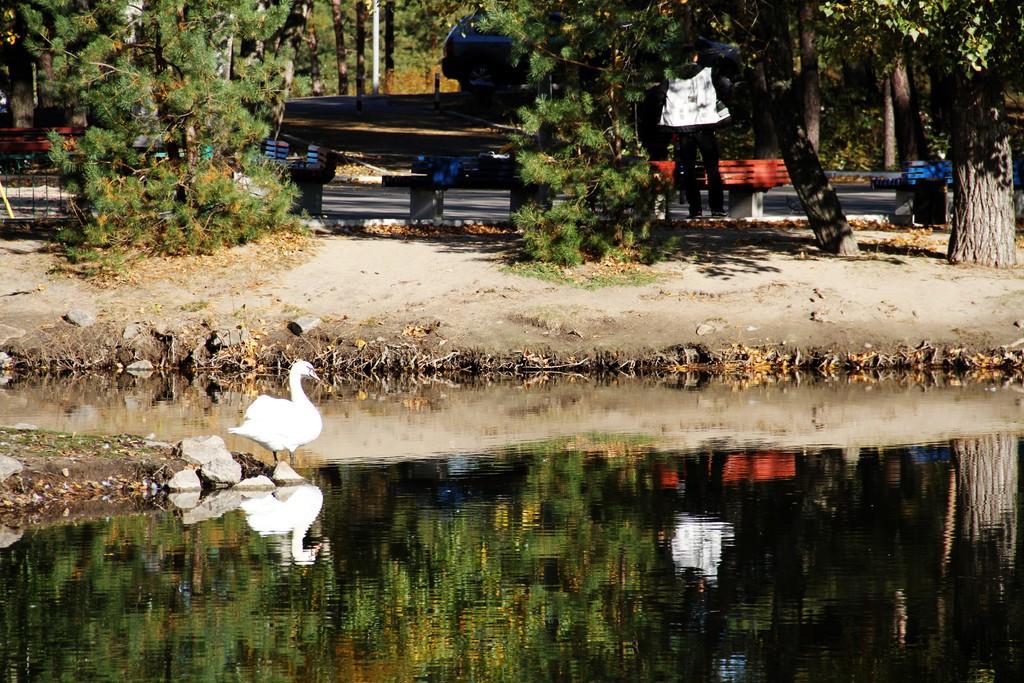 Ты не придешь