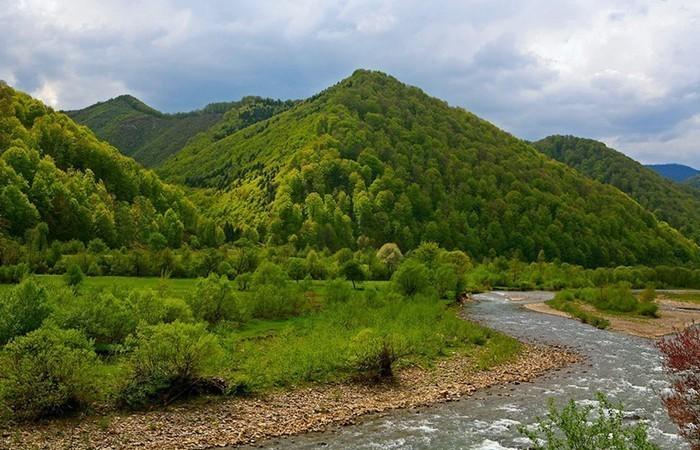 МРІЮ Я ПРО ПОЛОНИНИ