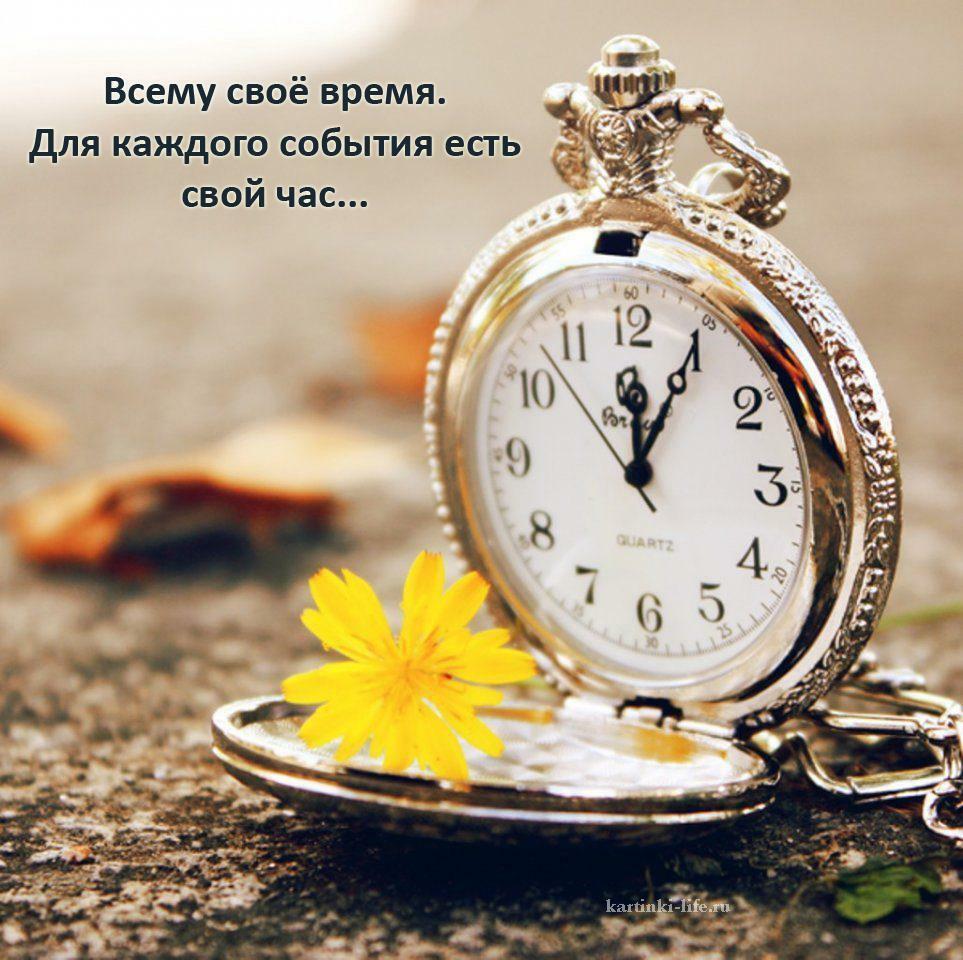 Всему своё время
