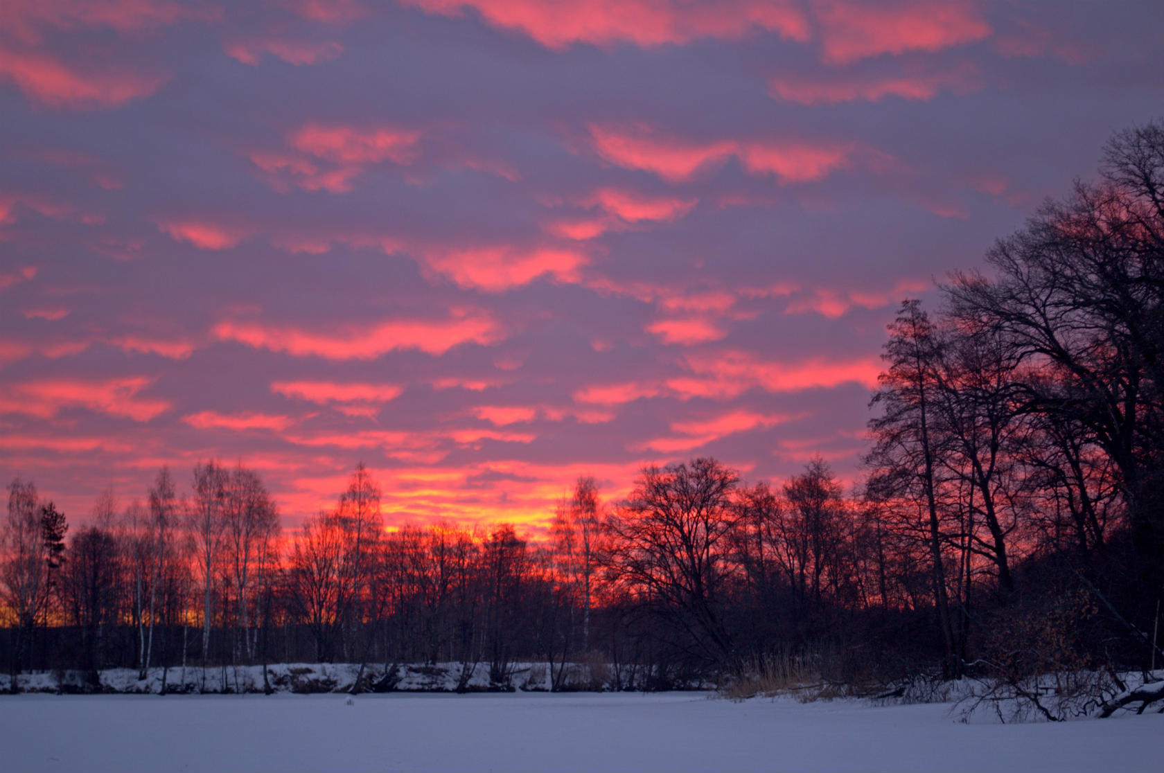 Коралловым перламутром