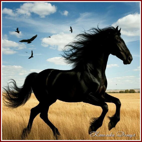 Годы мои годы