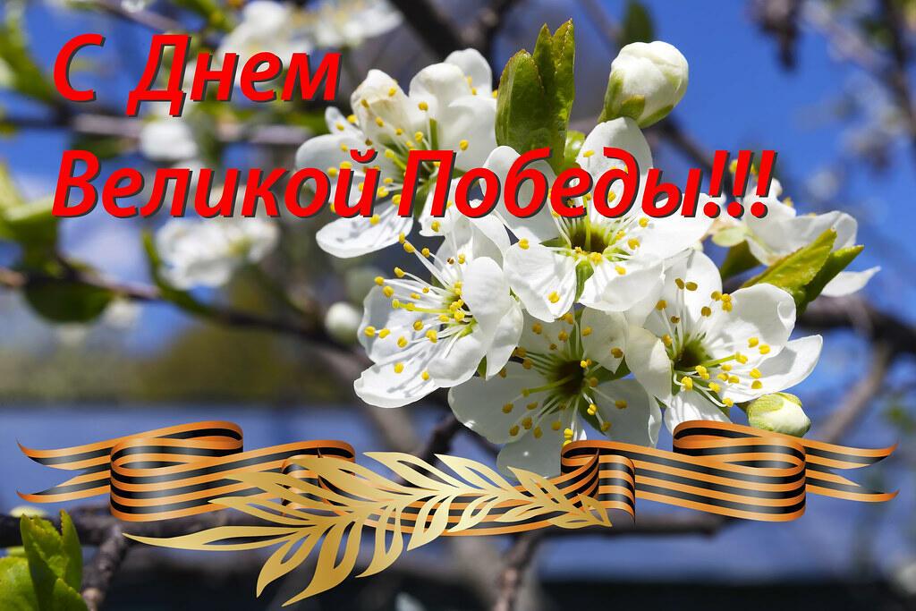 ЗА ЭТО ЖИЗНЬ ОТДАЛ