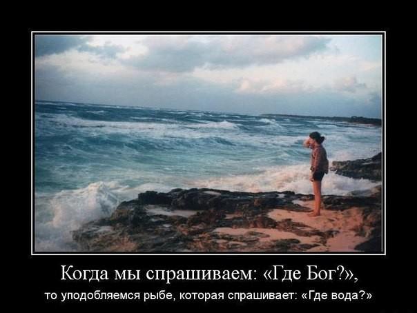 Где Бог?