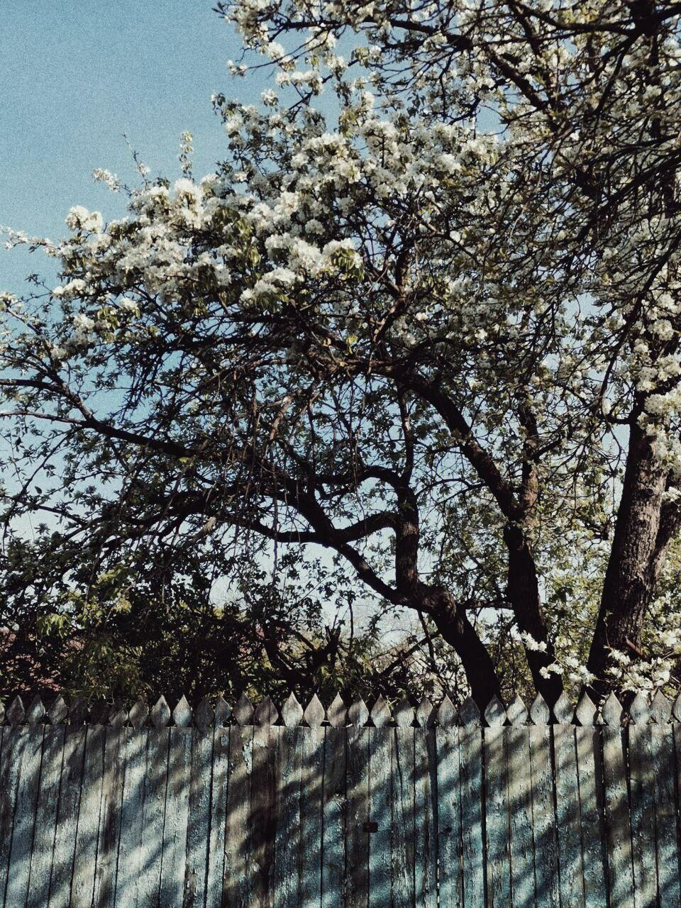 Весна на Донбасі 