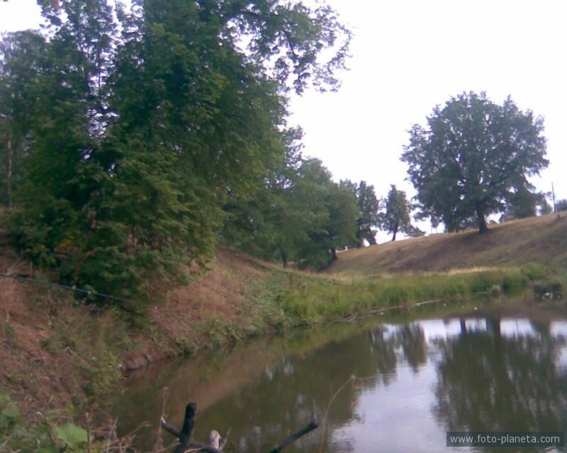 Там синий лес...