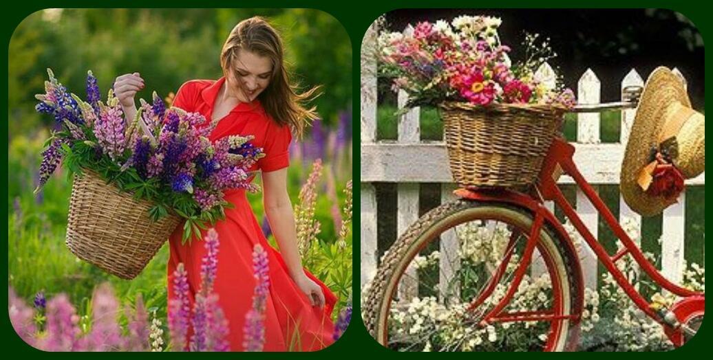 Размеренное утро