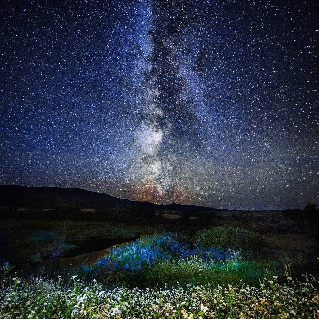 Я скучаю сильно