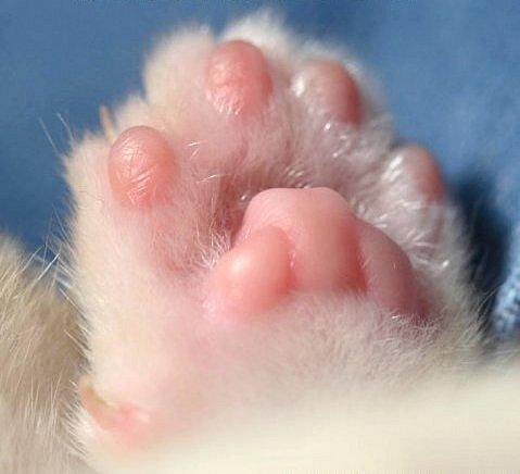 А снег - он, всё - таки предатель