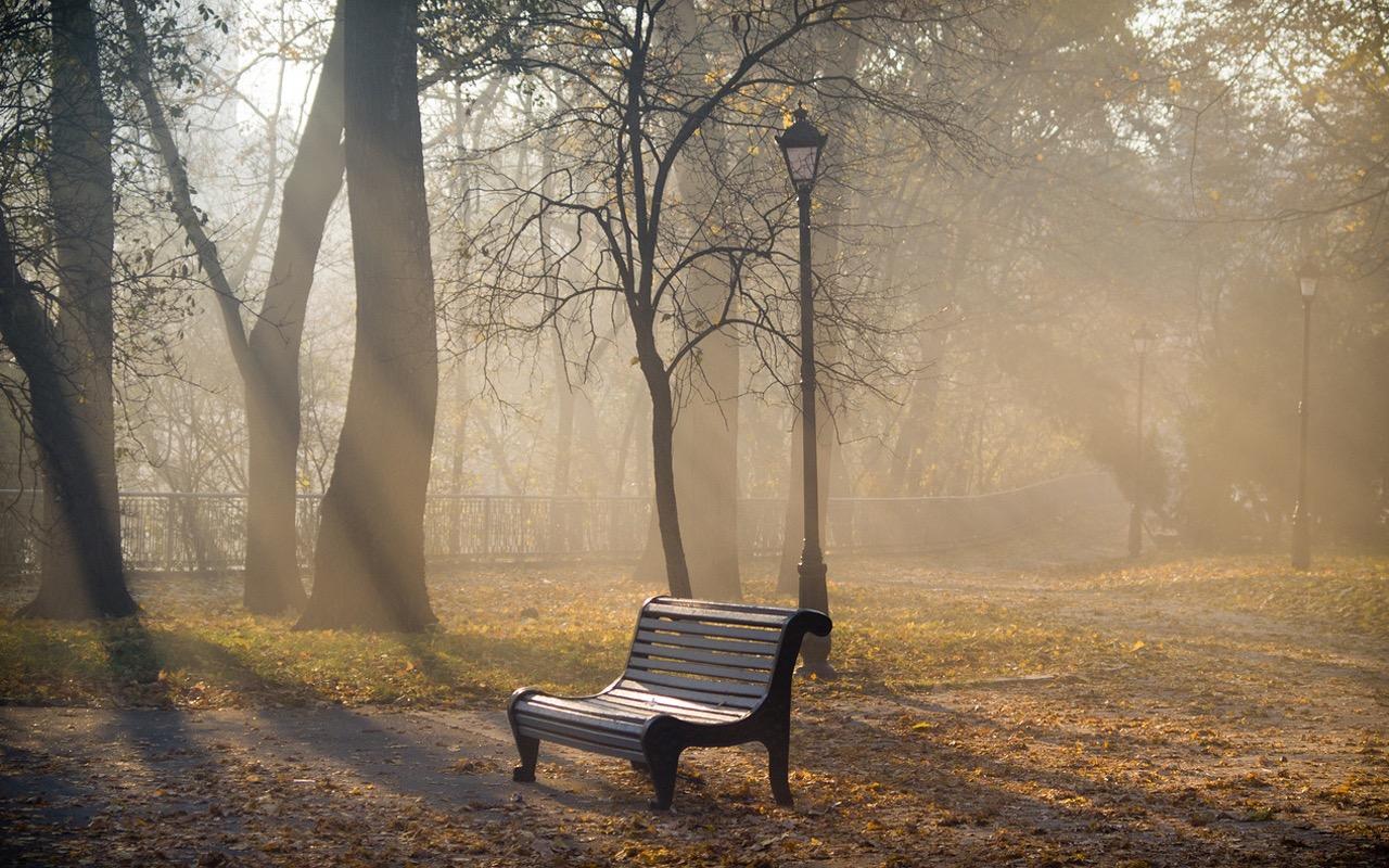 Парк пасмурно. Поздняя осень в парке. Осень парк туман. Скамейка в парке. Пасмурный день в парке.
