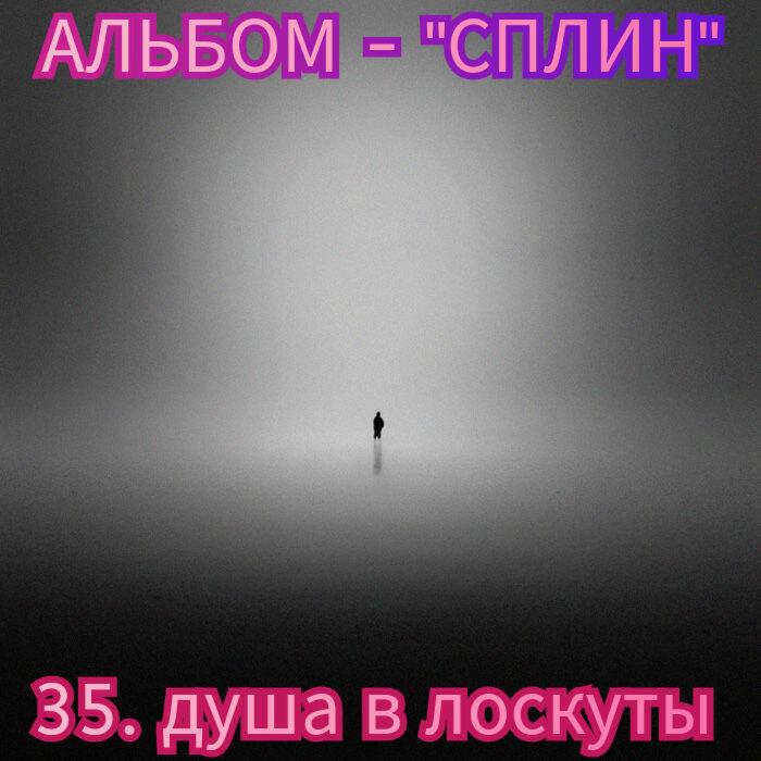 35. ДУША В ЛОСКУТЫ..
