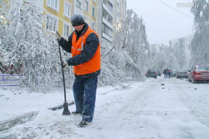 Вижу Март