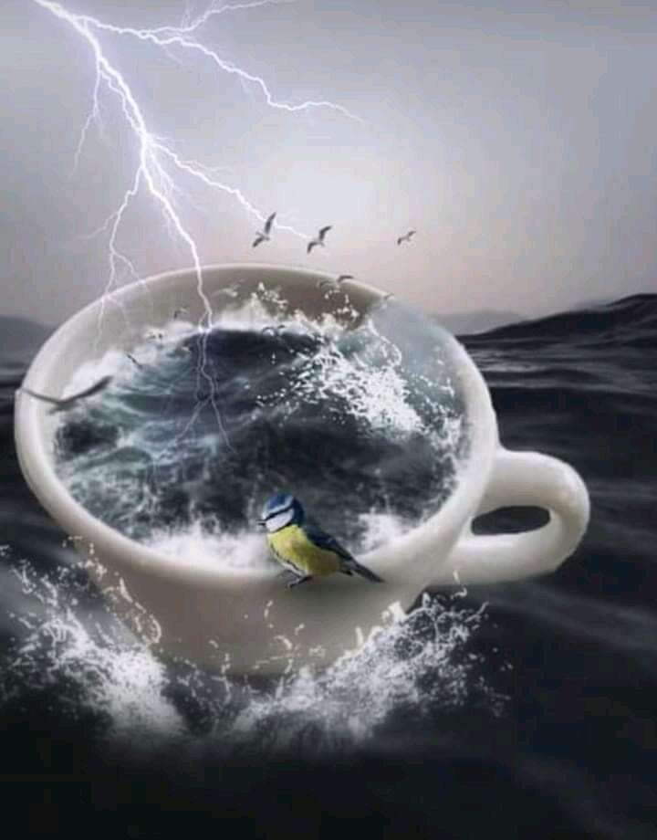 Пенье птиц...